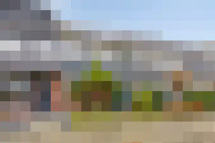 Tromplaan 45 Voorthuizen thumbnail 28