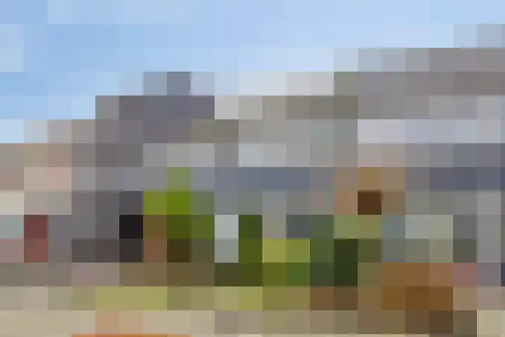 Tromplaan 45 Voorthuizen thumbnail 29
