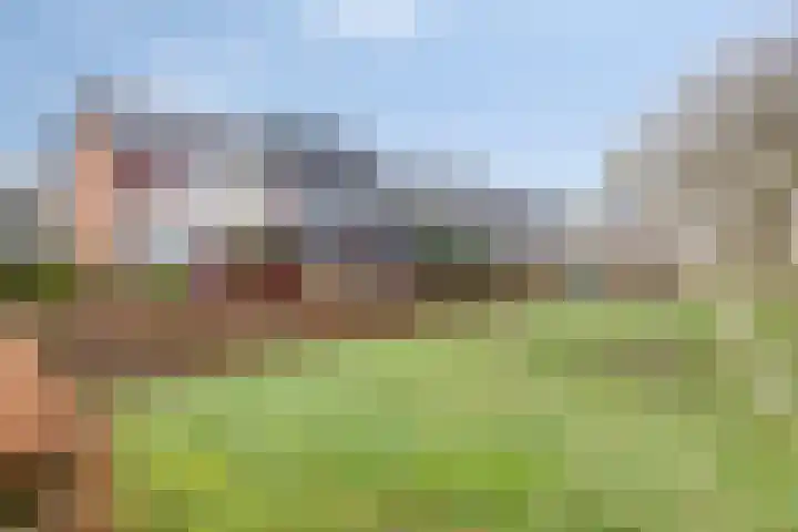 Tromplaan 45 Voorthuizen thumbnail 30