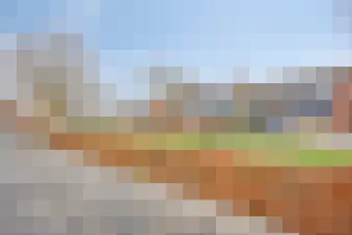 Tromplaan 45 Voorthuizen thumbnail 31