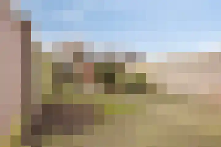 Tromplaan 45 Voorthuizen thumbnail 4