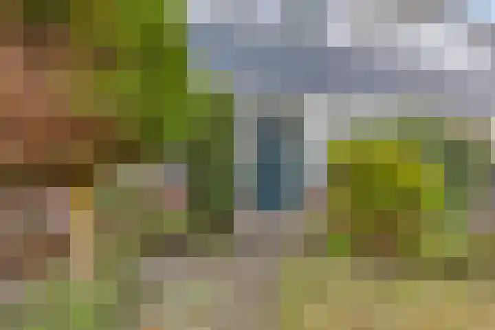 Tromplaan 45 Voorthuizen thumbnail 5