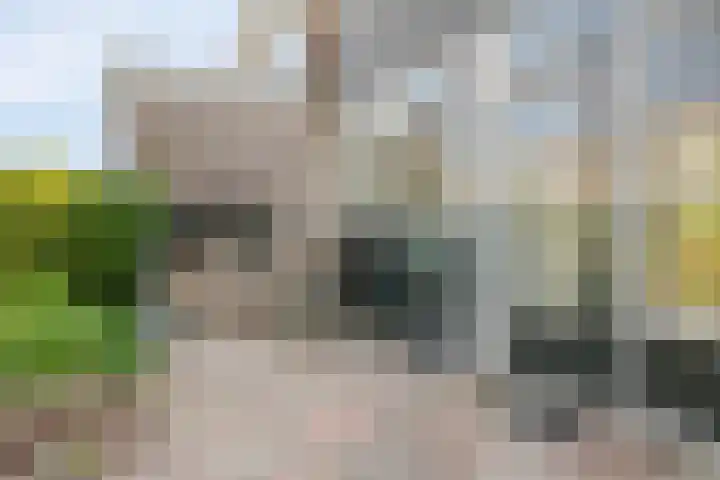 Tromplaan 48 Hendrik-Ido-Ambacht thumbnail 33