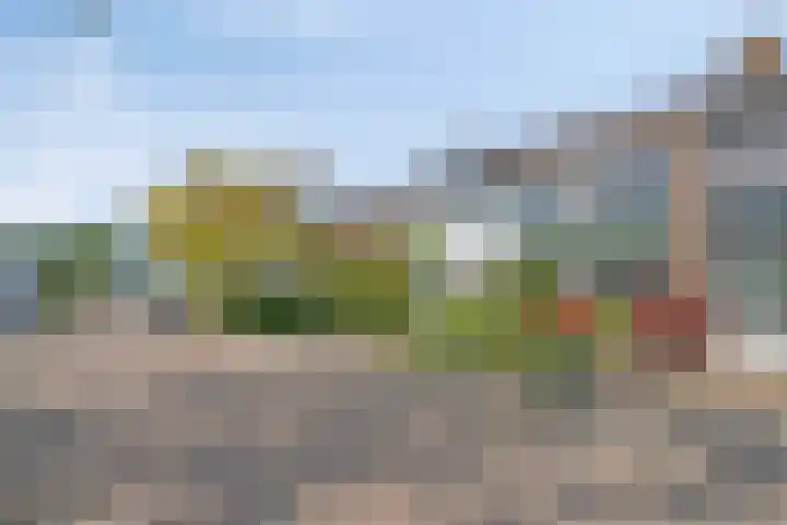 Tromplaan 48 Hendrik-Ido-Ambacht thumbnail 4