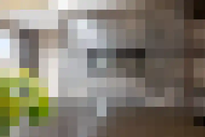 Tromplaan 51 Voorthuizen thumbnail 12