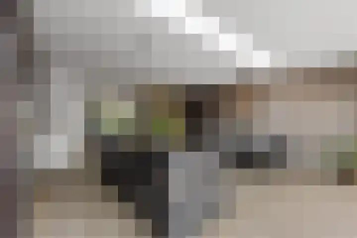 Tromplaan 51 Voorthuizen thumbnail 13