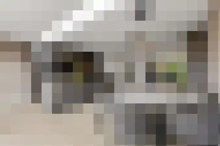 Tromplaan 51 Voorthuizen thumbnail 14