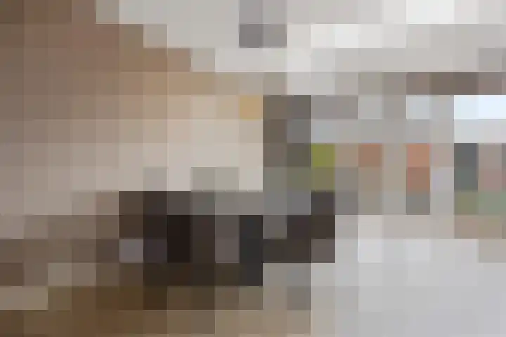Tromplaan 51 Voorthuizen thumbnail 15