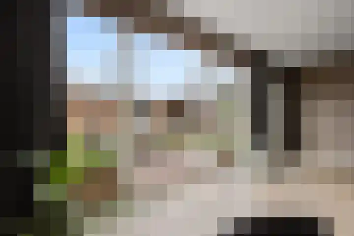 Tromplaan 51 Voorthuizen thumbnail 16