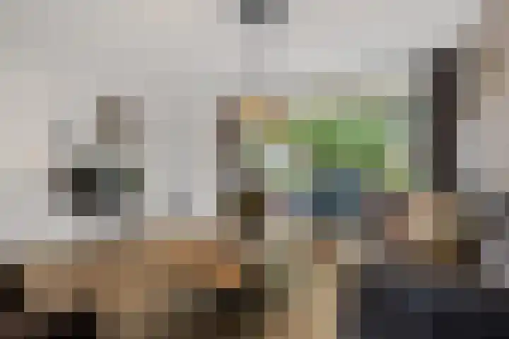 Tromplaan 51 Voorthuizen thumbnail 19