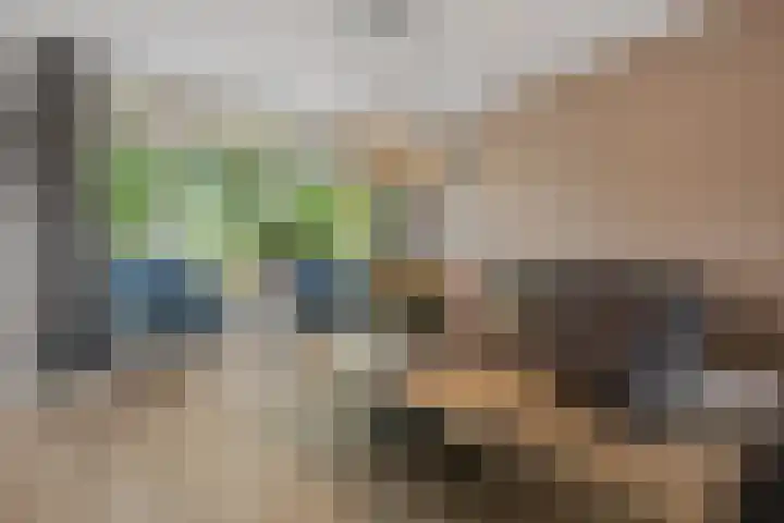 Tromplaan 51 Voorthuizen thumbnail 20