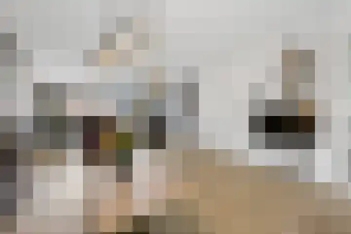 Tromplaan 51 Voorthuizen thumbnail 21