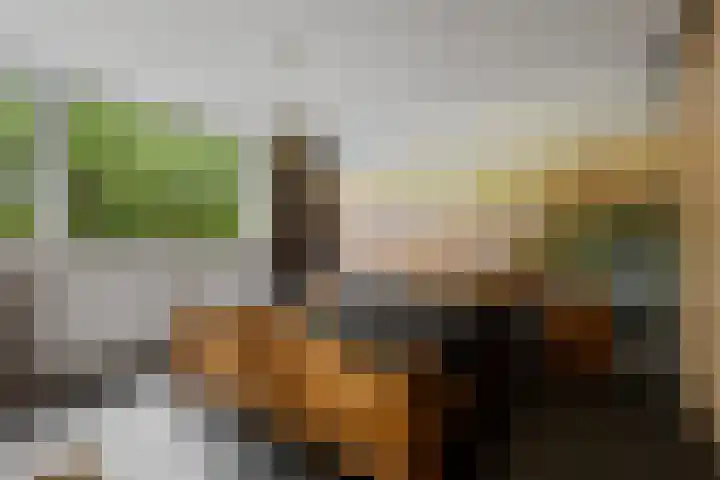 Tromplaan 51 Voorthuizen thumbnail 23