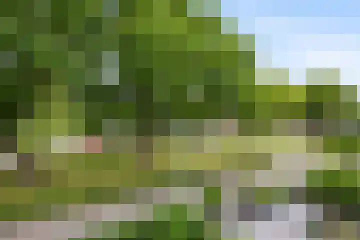 Tromplaan 51 Voorthuizen thumbnail 25
