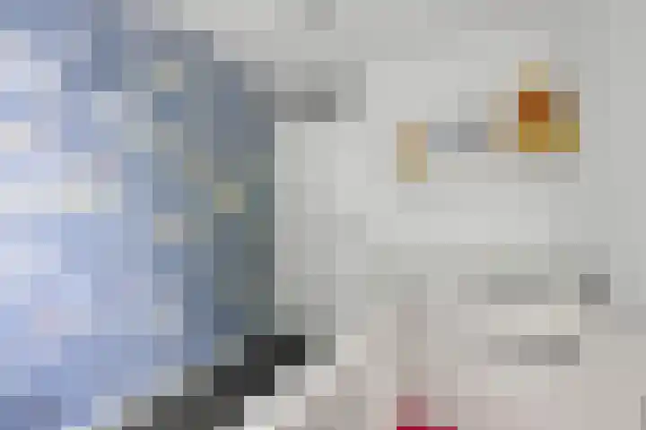 Tromplaan 51 Voorthuizen thumbnail 28