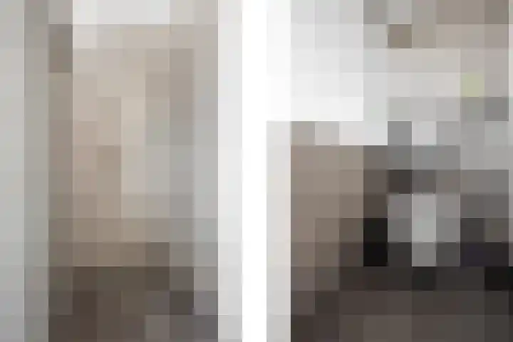 Tromplaan 51 Voorthuizen thumbnail 30