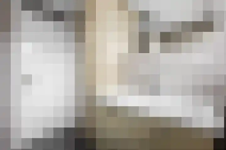 Tromplaan 51 Voorthuizen thumbnail 31