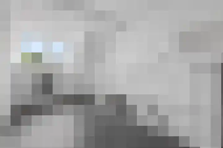 Tromplaan 51 Voorthuizen thumbnail 32