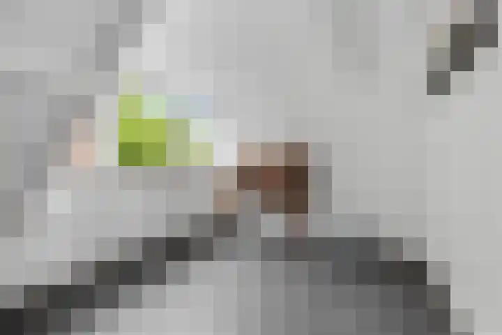 Tromplaan 51 Voorthuizen thumbnail 35