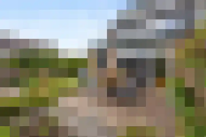 Tromplaan 51 Voorthuizen thumbnail 38