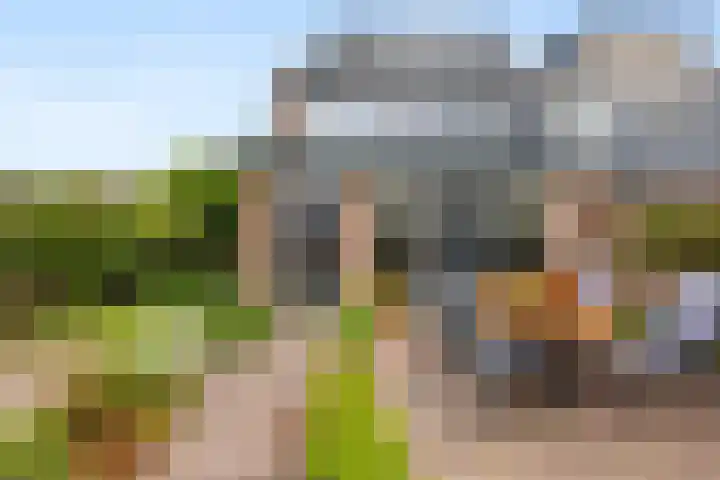 Tromplaan 51 Voorthuizen thumbnail 39