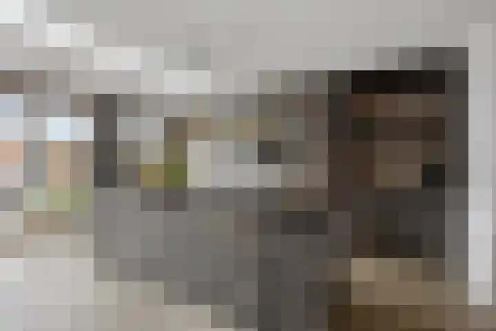 Tromplaan 51 Voorthuizen thumbnail 4