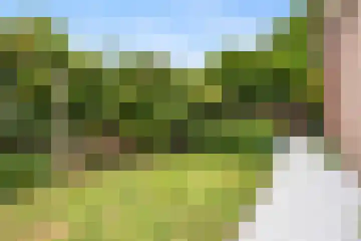 Tromplaan 51 Voorthuizen thumbnail 40