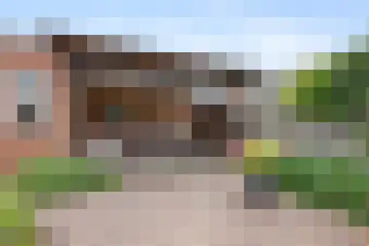 Tromplaan 51 Voorthuizen thumbnail 42