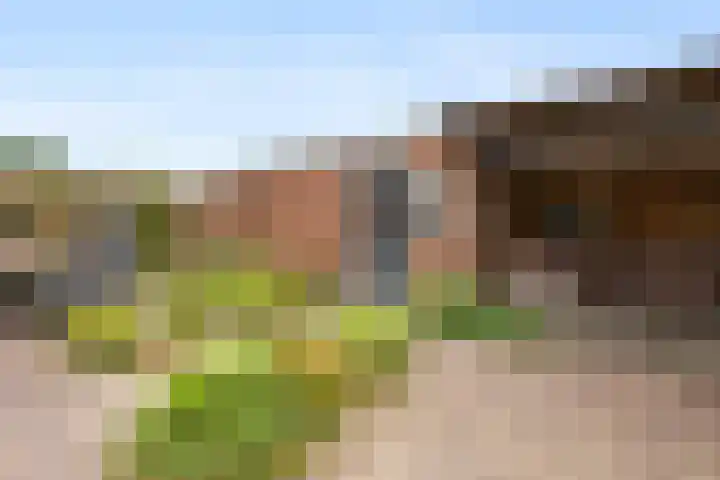 Tromplaan 51 Voorthuizen thumbnail 43