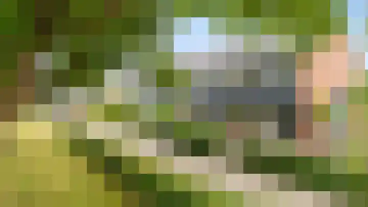 Tromplaan 51 Voorthuizen thumbnail 45