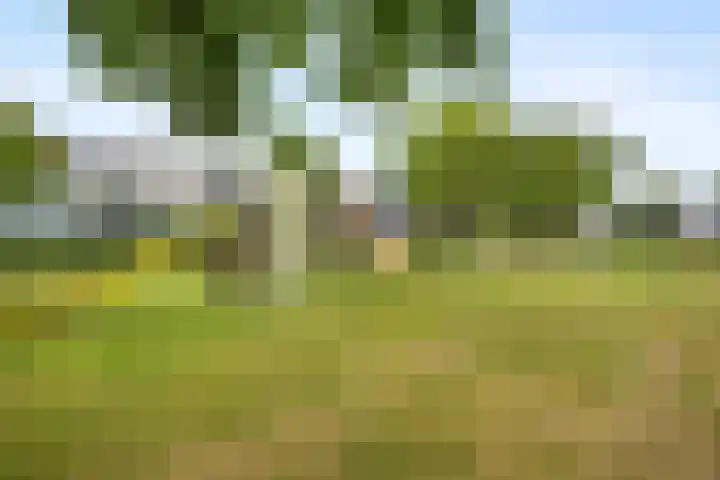 Tromplaan 51 Voorthuizen thumbnail 47
