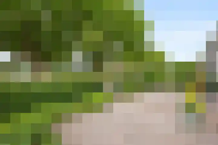Tromplaan 51 Voorthuizen thumbnail 6