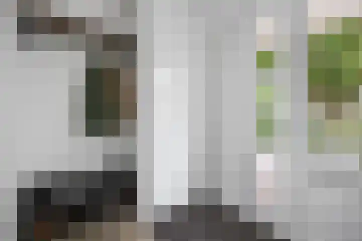 Tromplaan 51 Voorthuizen thumbnail 8