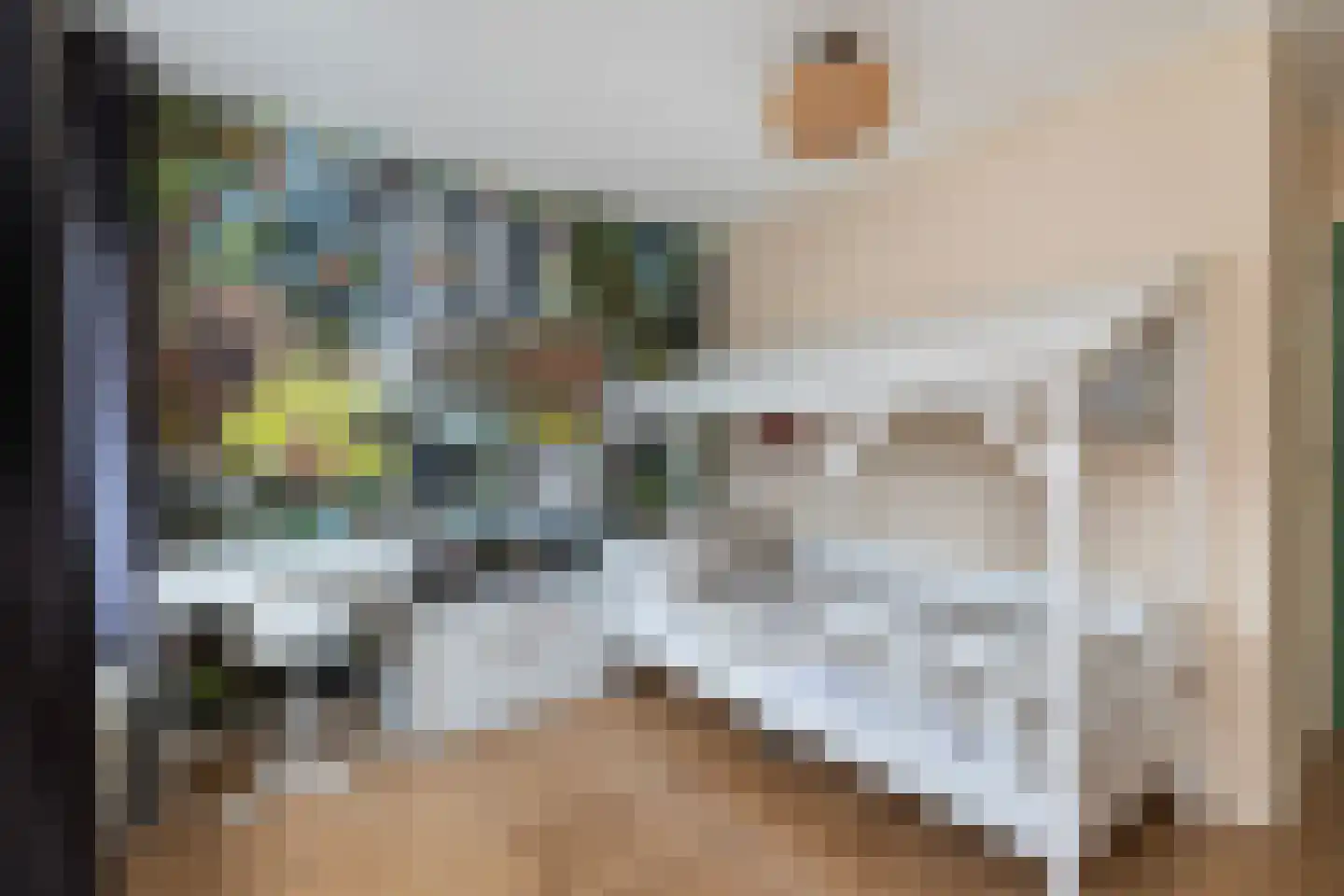 Tromplaan 6 Hendrik-Ido-Ambacht thumbnail 20