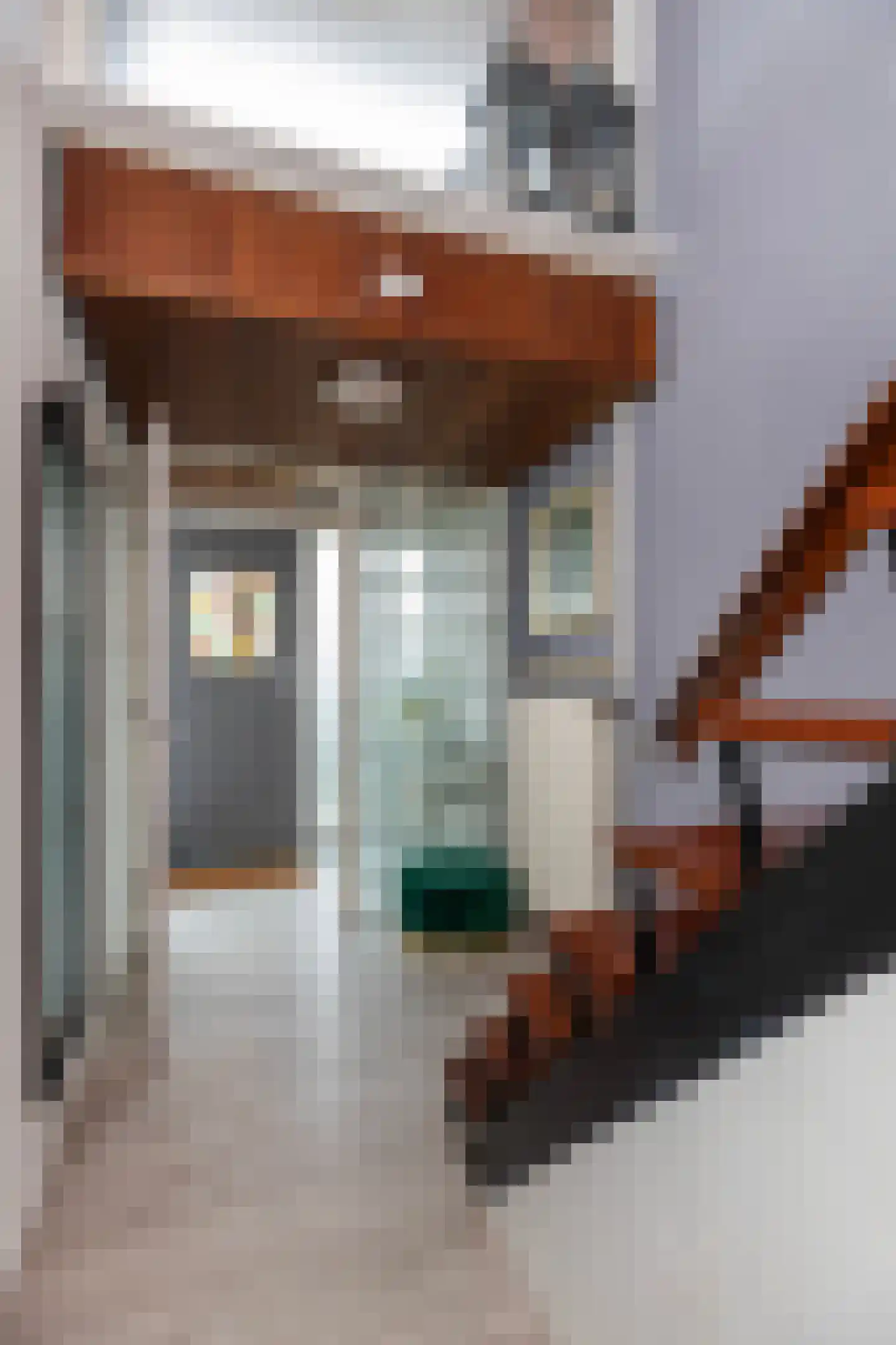 Tromplaan 6 Hendrik-Ido-Ambacht thumbnail 4