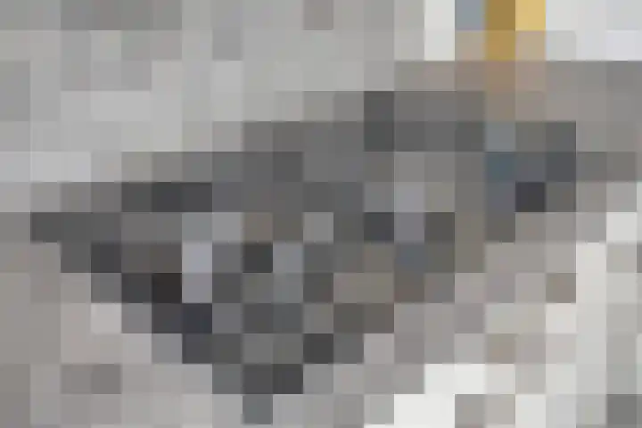 Tromplaan 7 Weert thumbnail 16