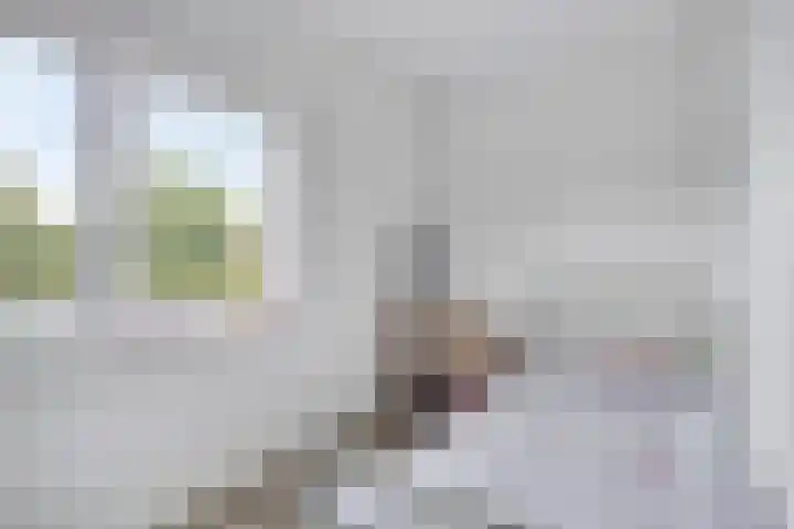 Tromplaan 7 Weert thumbnail 21