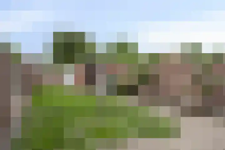 Tromplaan 7 Weert thumbnail 30