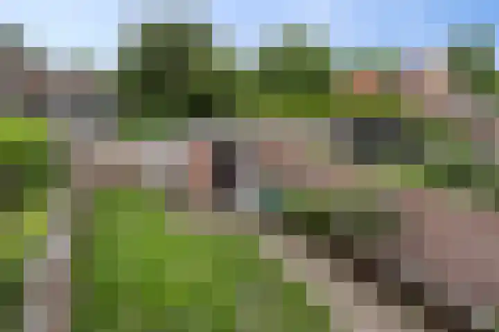 Tromplaan 7 Weert thumbnail 31