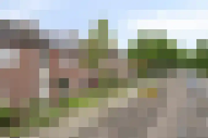 Tromplaan 7 Weert thumbnail 35