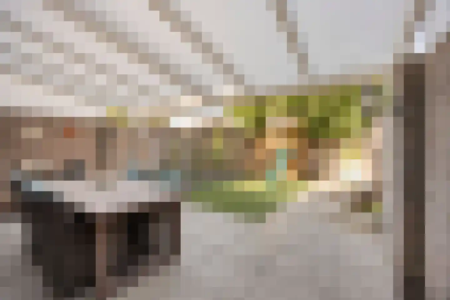 Tromplaan 73 Weert thumbnail 32