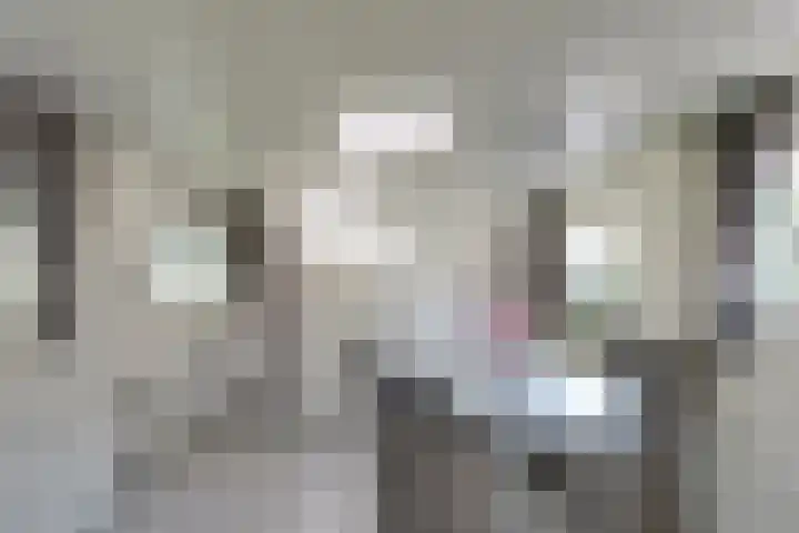 Trompsingel 1007 Groningen thumbnail 10