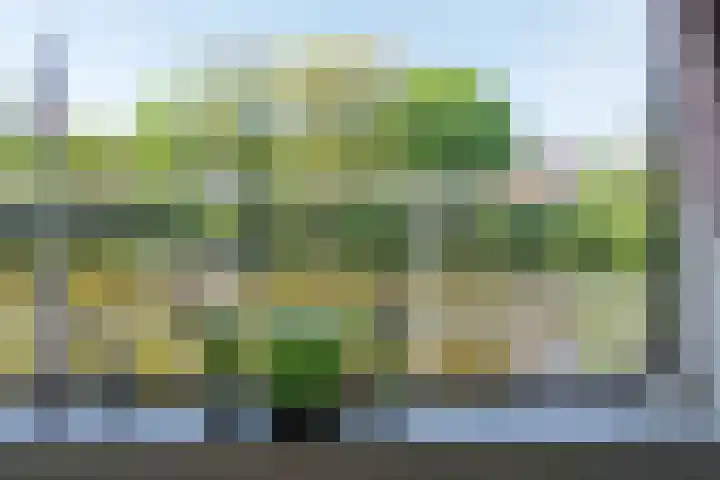 Trompsingel 1007 Groningen thumbnail 11