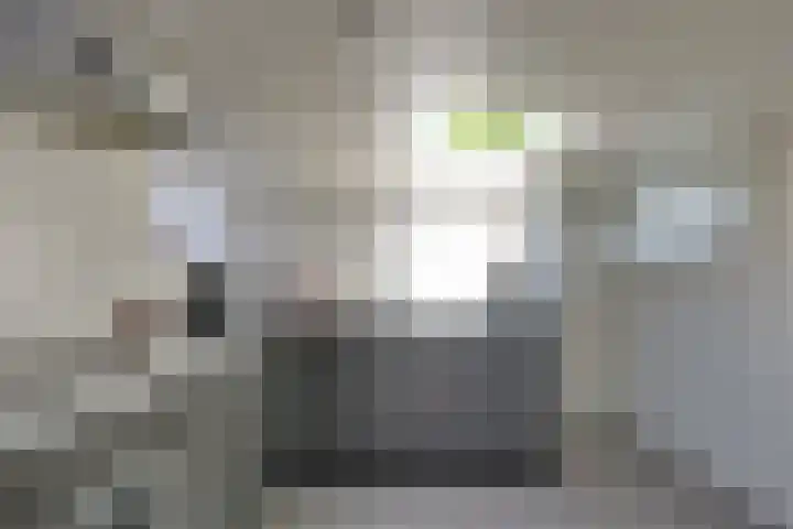 Trompsingel 1007 Groningen thumbnail 14