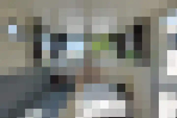Trompsingel 1007 Groningen thumbnail 22