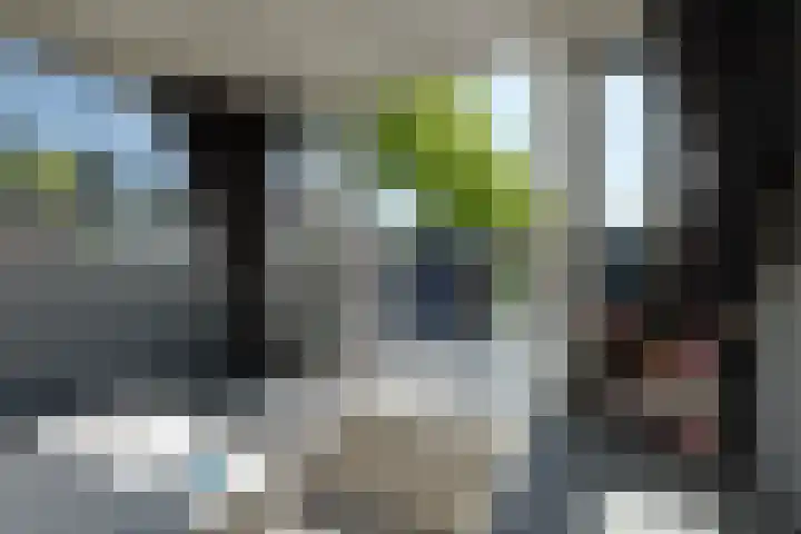 Trompsingel 1007 Groningen thumbnail 25