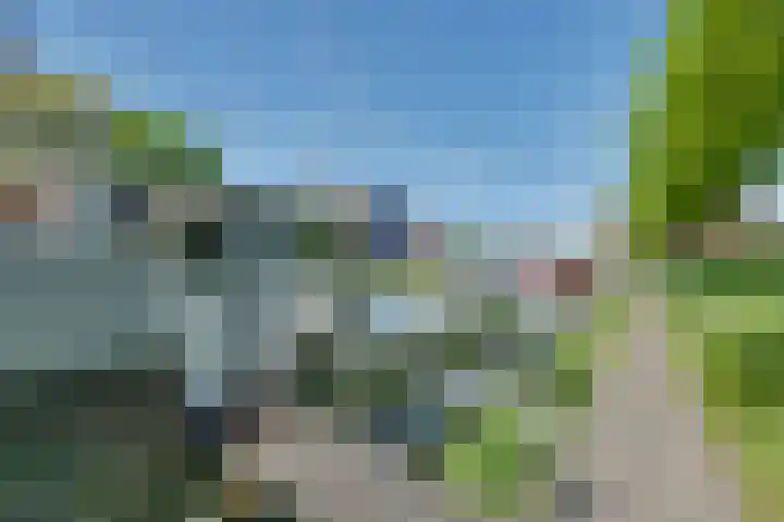 Trompsingel 1007 Groningen thumbnail 34