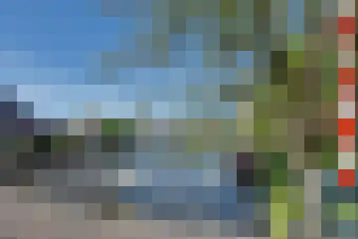 Trompsingel 1007 Groningen thumbnail 35