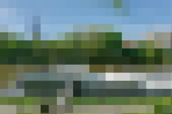 Trompsingel 1007 Groningen thumbnail 5
