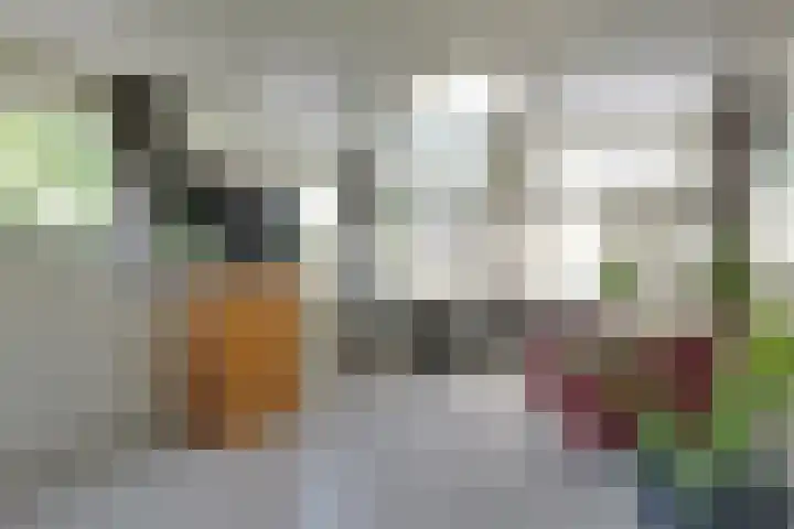 Trompsingel 1007 Groningen thumbnail 8